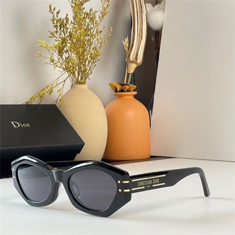 dior sunglass-133